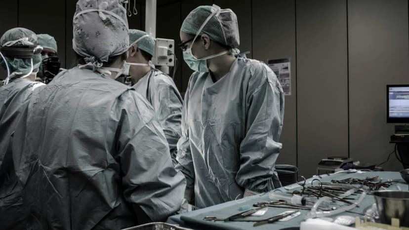 Diş Kliniği SEO: İmplant ve Gülüş Tasarımıyla Hasta Kazanma Rehberi 2026 - Case 4